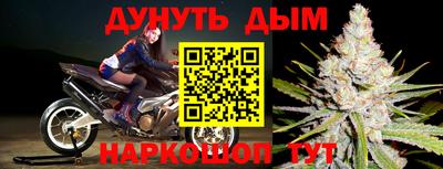 a pvp Славгород
