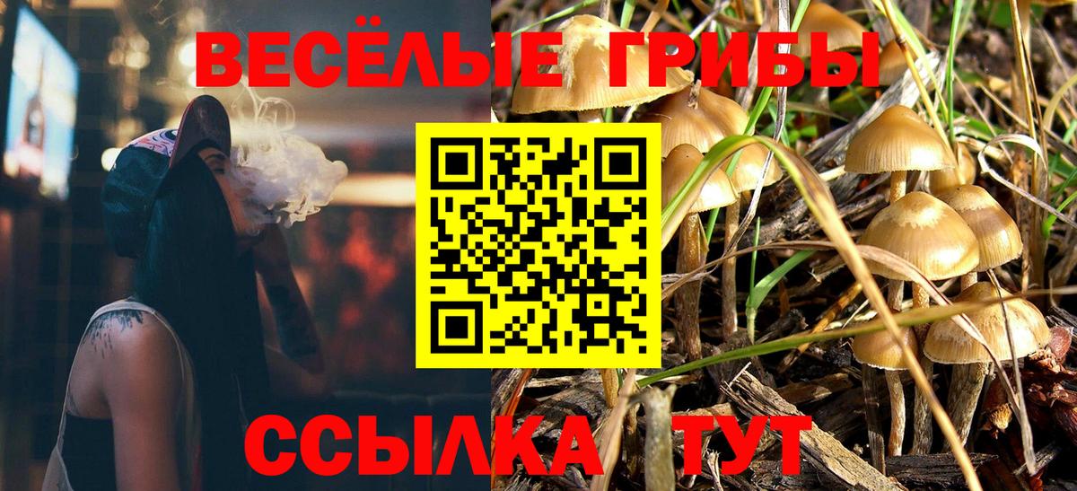 Галлюциногенные грибы мицелий  Вход с VPN  Галлюциногенные грибы мицелий  купить наркотик  Реж 